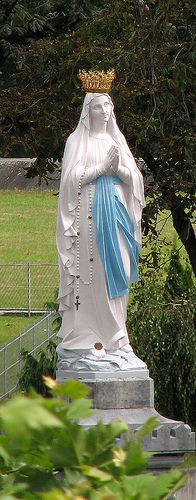 Immaculate Mary